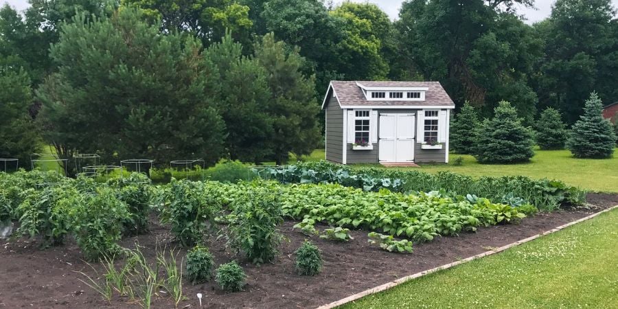 Backyard garden shed