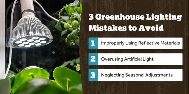 Blog_3GreenhouseLightingMistakesToAvoid_900x450