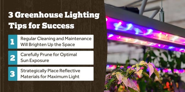 Blog_3GreenhouseLightingTipsForSuccess_900x450