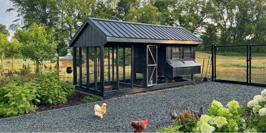 Blog_Black Enclosed Chicken Coop_900x450