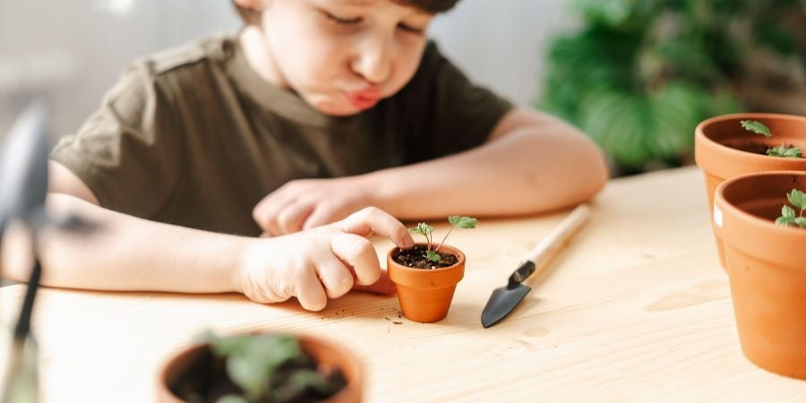 Blog_BoyCaringForGreenhousePlants_900x450