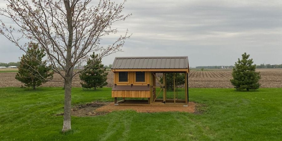 Blog_Brown Enclosed Chicken Coop_900x450