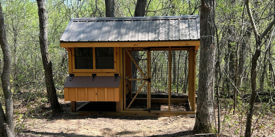 Blog_Chicken Coop and Run_900x450