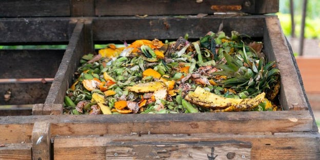 Blog_CompostingBin_900x450