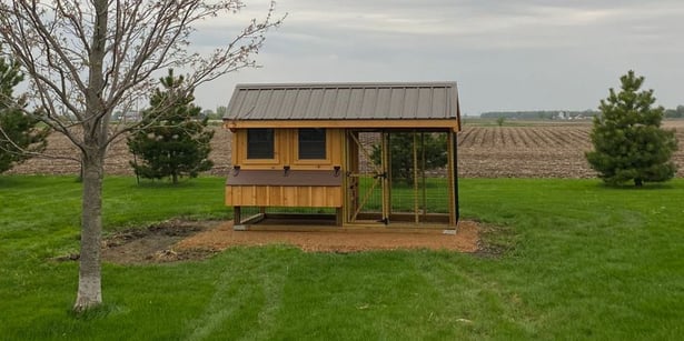 Blog_Content_Backyard Chicken Coops