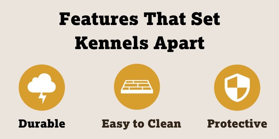 Blog_Content_Features That Set Kennels Apart