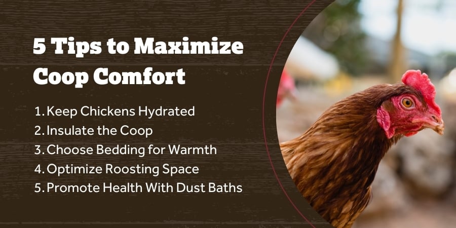 Blog_Coop Comfort Tips_900x450