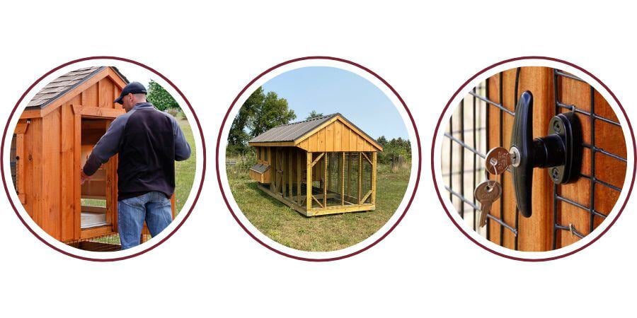 Blog_Coop Features_900x450 (1)