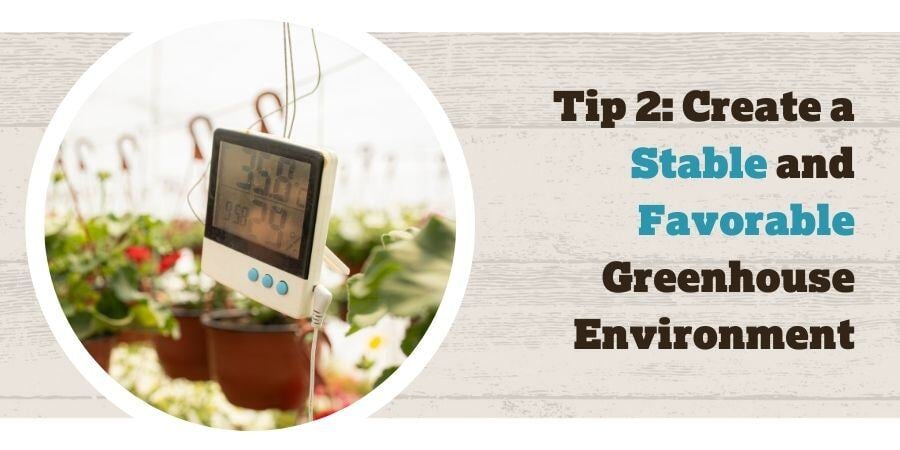 Blog_CreateAStableAndFavorableGreenhouseEnviroment_900x450