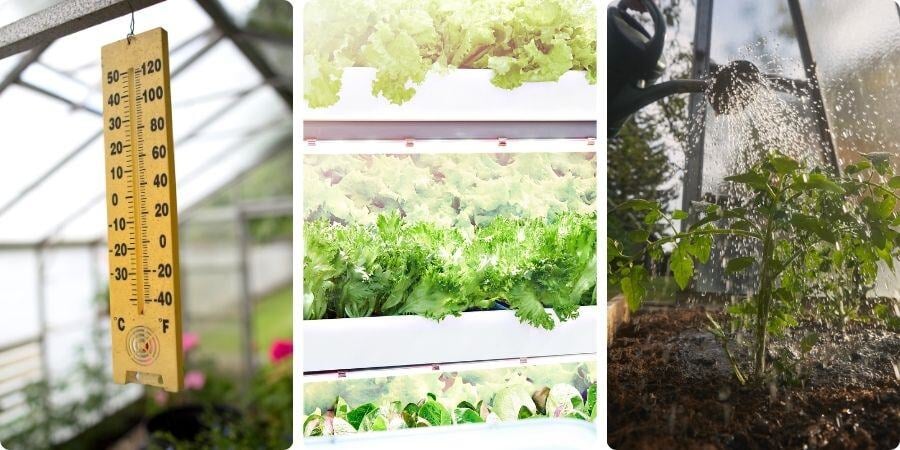 Blog_CreatingThePerfectGreenhouseEnviroment_900x450