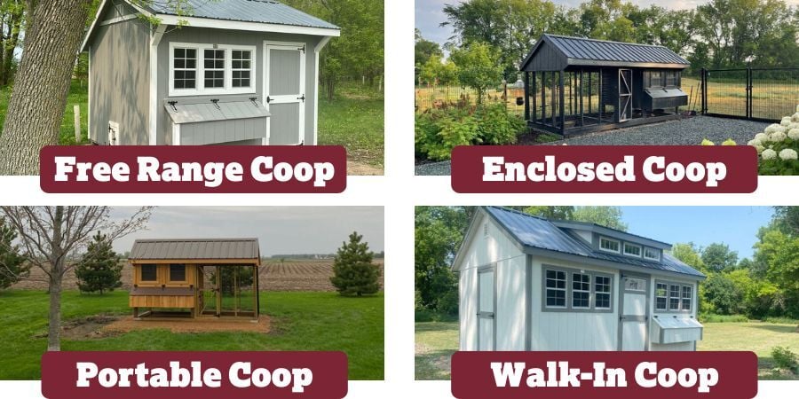 Blog_DakotaCoopOptions_900x450