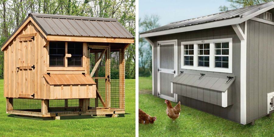 Blog_DakotasChickenCoopsForSale_900x450