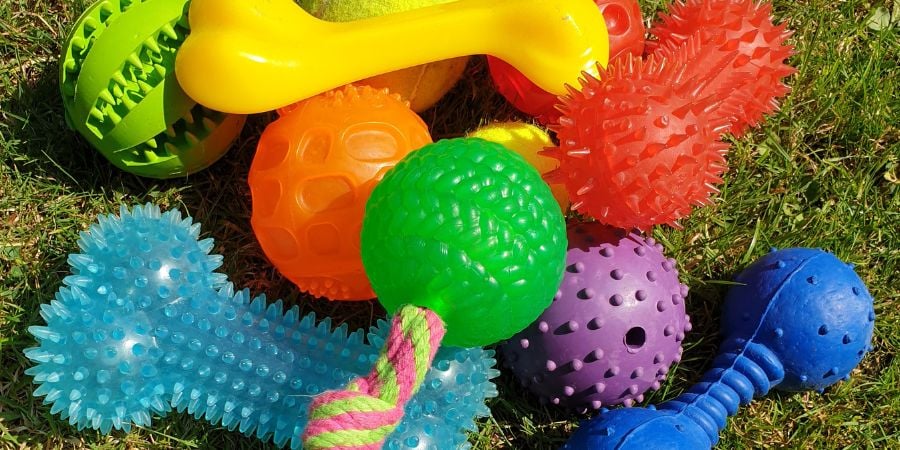 Blog_Dog Toys_900x450