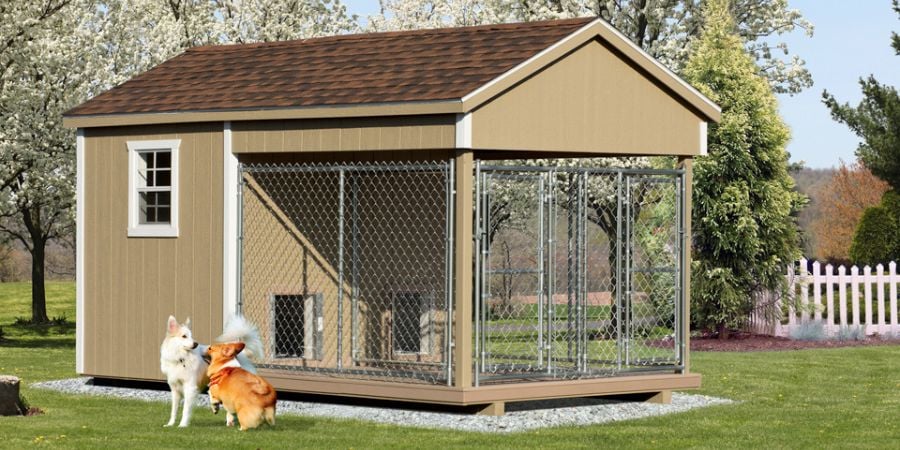 Blog_Double Dog Kennel_900x450