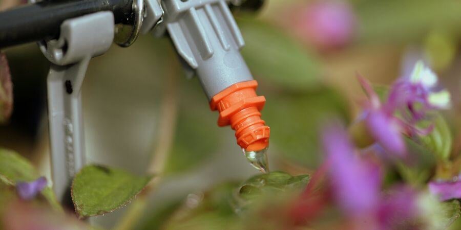 Blog_DripIrrigationSystem_900x450