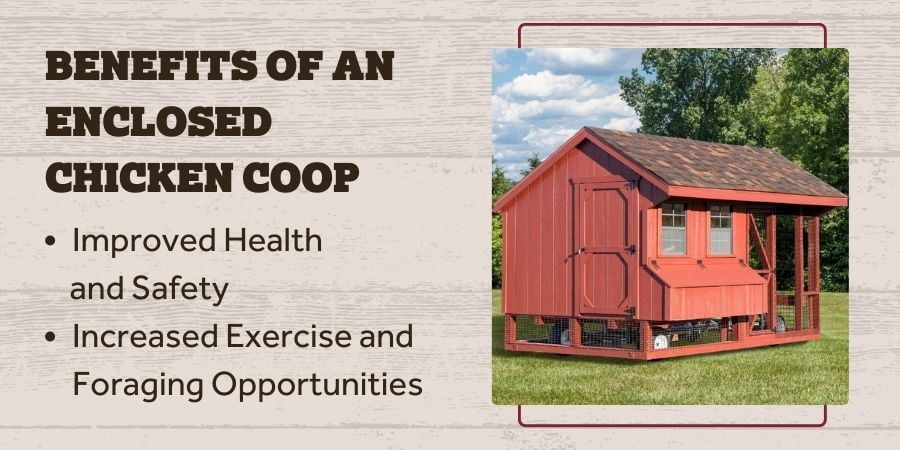 Blog_Enclosed Coop Benefits_900x450