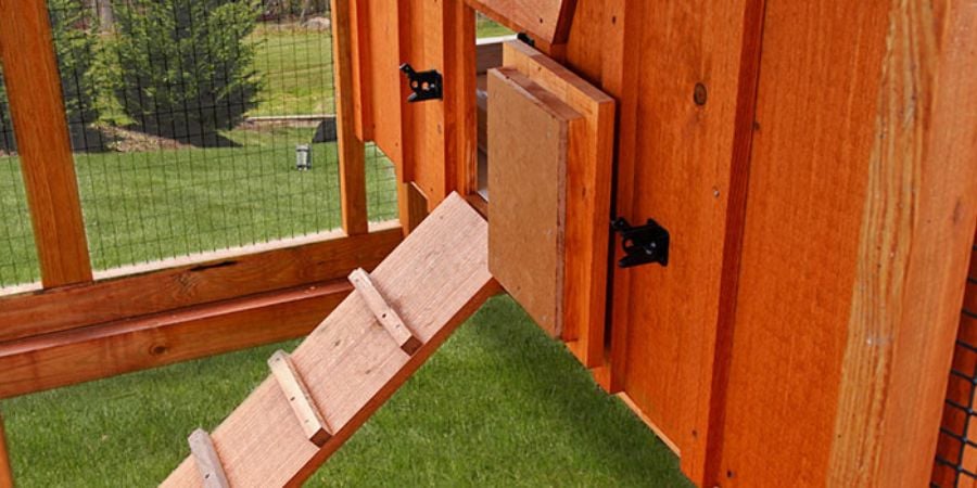 Blog_Enclosed Coop and Run With Ramp_900x450