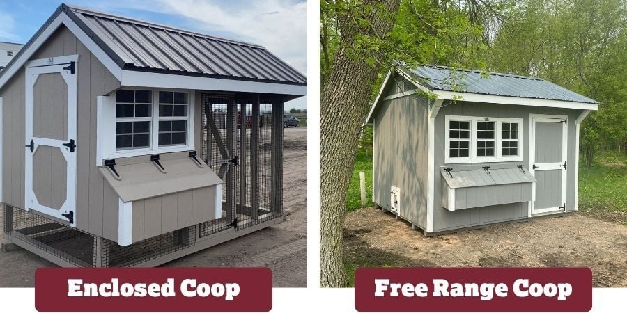 Blog_EnclosedAndFreeRangeCoops_900x450
