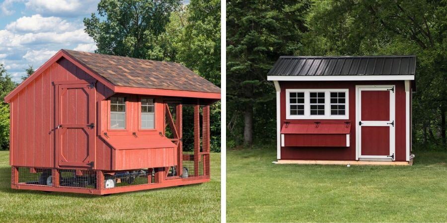 Blog_EnclosedVSFreeRangeCoop_900x450