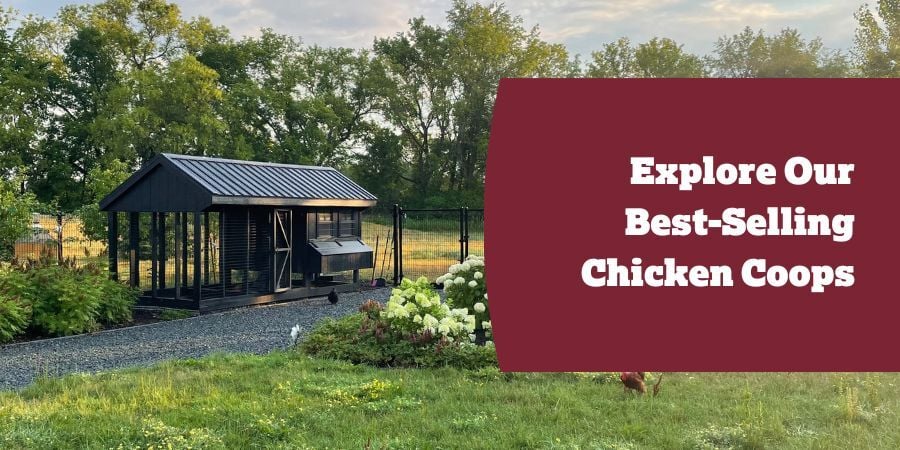 Blog_ExploreOurBestSellingCoops_900x450