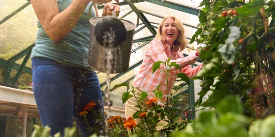 Blog_FamilyGreenhouseGardening_900x450