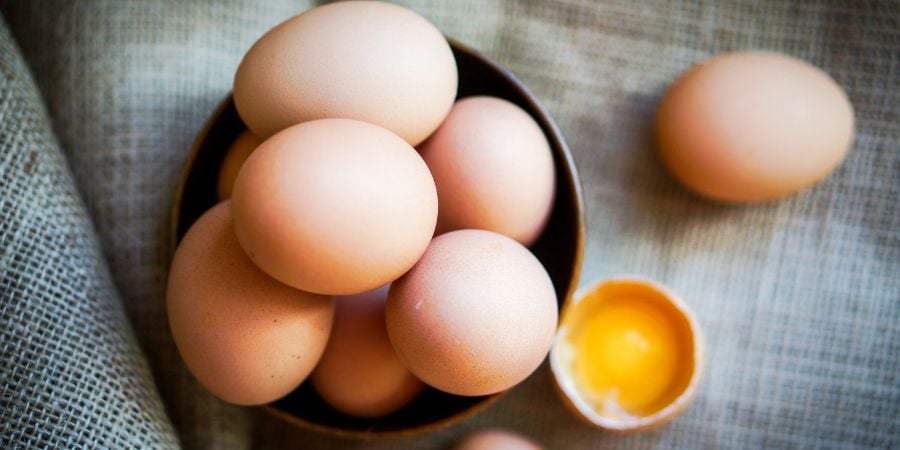 Blog_Farm Fresh Eggs_900x450