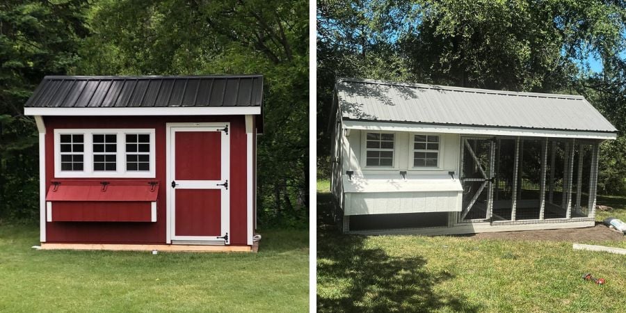 Blog_Free Range or Enclosed Coops_900x450