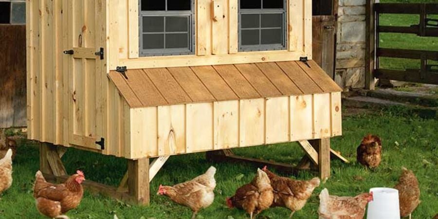 Blog_Free-range Wooden Chicken Coop_900x450