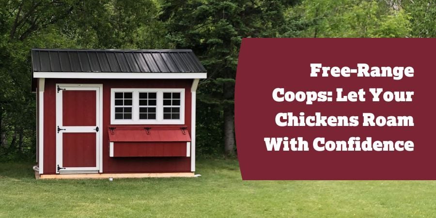 Blog_FreeRangeCoopsLetYourChickensRoamWithConfidence_900x450