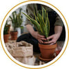 Blog_Gardening Shed_300x300