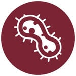 Blog_Germ Red_300x300