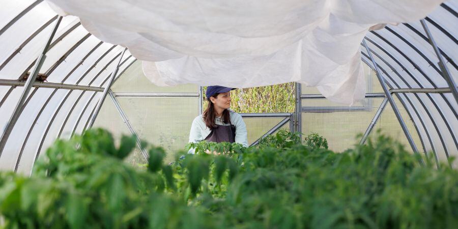 Blog_Greenhouse Shade Cloth_900x450