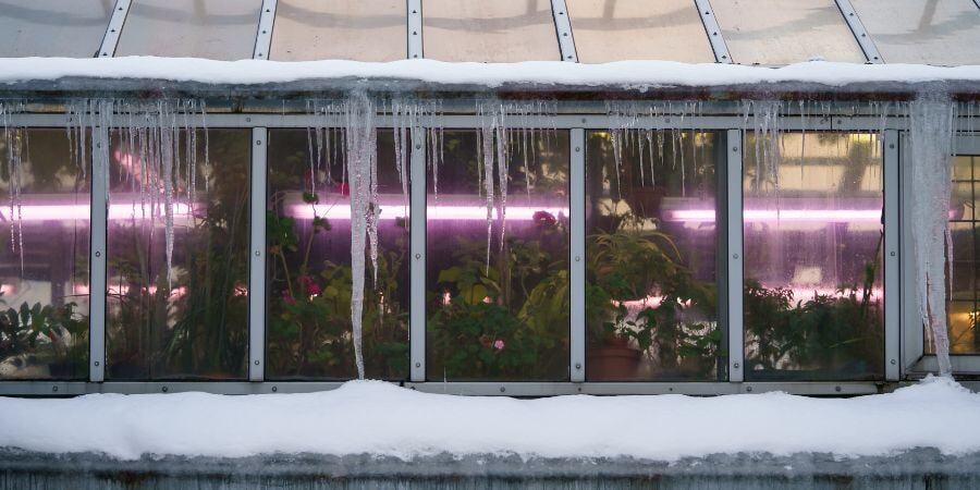 Blog_GreenhouseInWinter_900x450