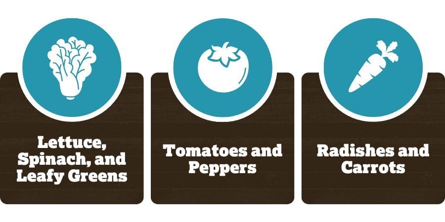 Blog_GreenhouseVegetables_900x450