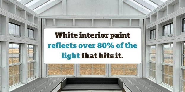 Blog_GreenhouseWhiteInteriorPaint_900x450