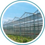Blog_Gutter Connected Greenhouse_300x300