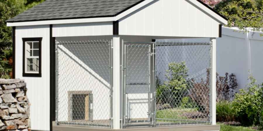 Blog_Header_Advantages toLargeKennels