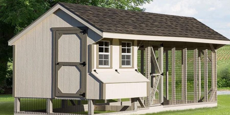 Blog_Hero_LargeChicken Coop