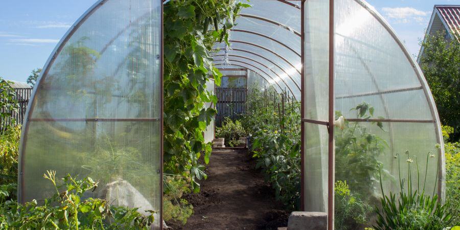 Blog_Hoop House Greenhouse_900x450