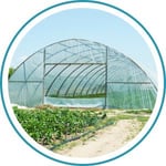 Blog_Hoop House_300x300