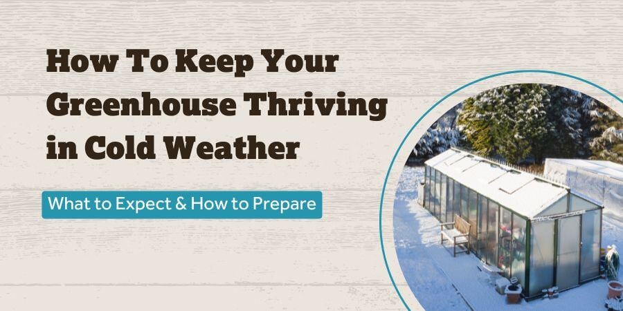 Blog_HowToKeepYouGreenhouseThrivingInColdWeather_900x450