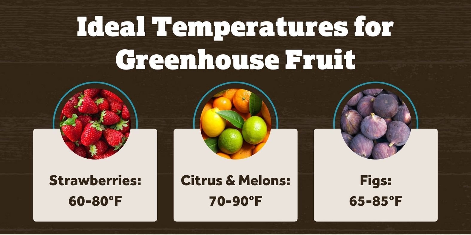 Blog_IdealTemperaturesForGreenhouseFruit_900x450