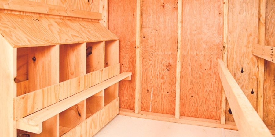 Blog_Inside Chicken Coop_900x450 (1)