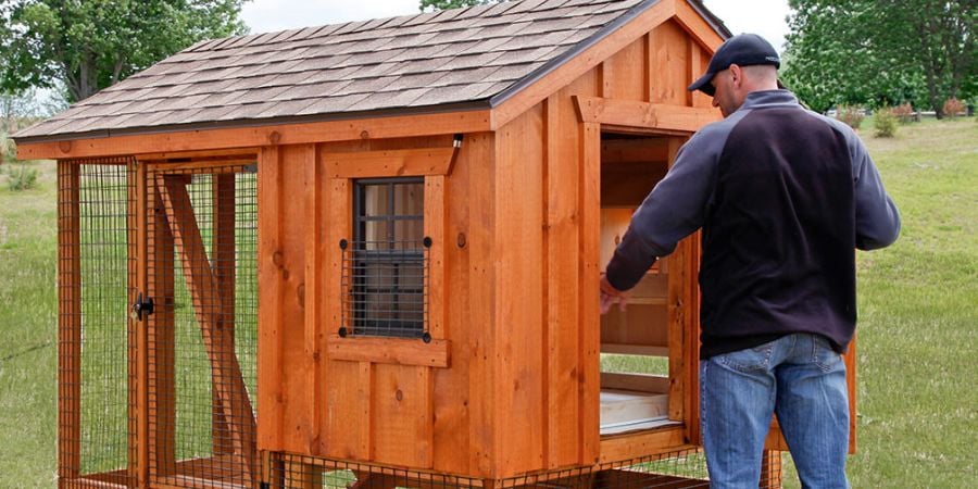 Blog_Inspecting a Chicken Coop_900x450