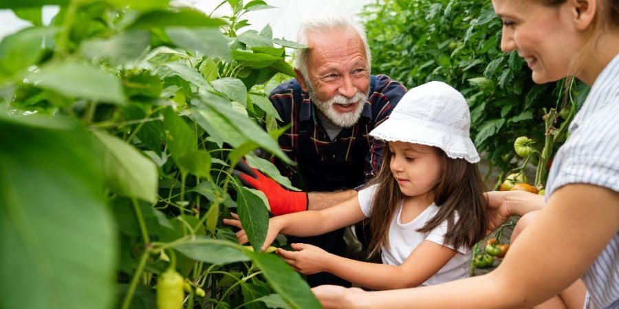 Blog_KidInGreenhouseGarden_900x450