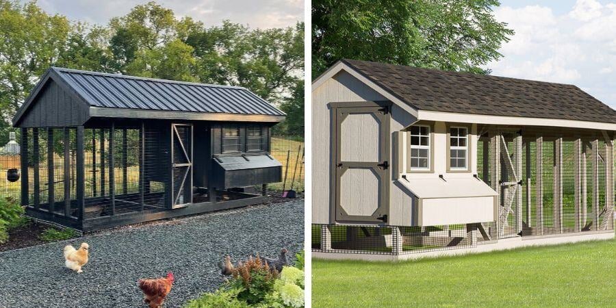 Blog_Large Chicken Coops_900x450