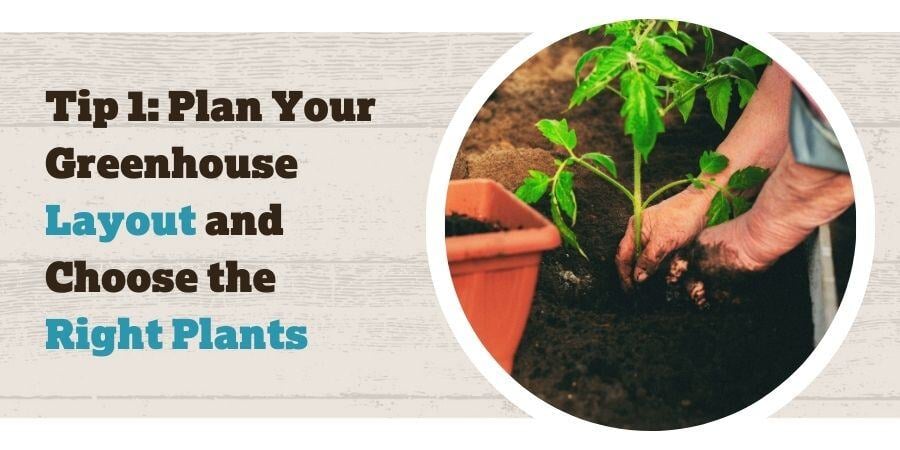 Blog_PlanYour GreenhouseLayoutAndChooseTheRightPlants_900x450