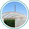 Blog_Plastic Greenhouse_300x300