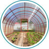 Blog_Polycarbonate Greenhouse_300x300