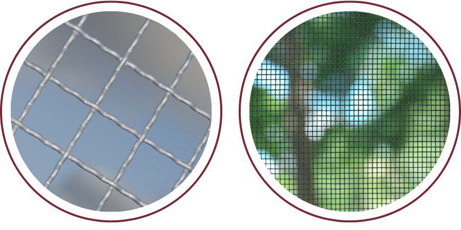 Blog_Predator Protection Coop Materials_900x450